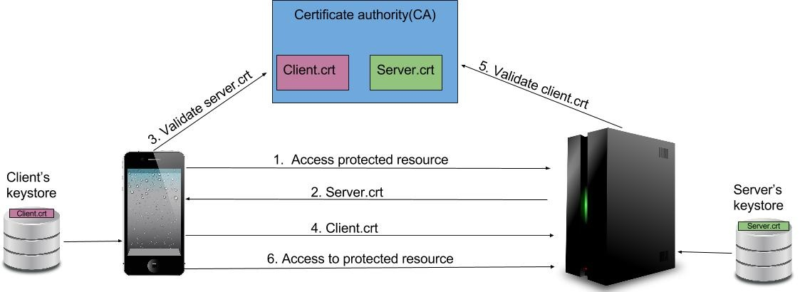 A typical Mutual TLS Authentication setup