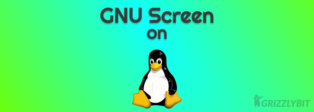 How to use Screen on Linux to Detach and Reattach your Terminal