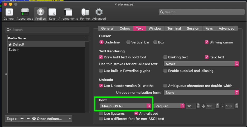 iTerm2 profile font setting